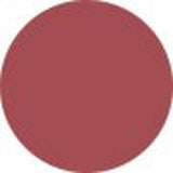Estee Lauder Melt On Gloss Stick - # 156 MELTED ROSE  1.8g