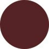 Estee Lauder Melt On Gloss Stick - # 289 MELTED SCARLET  1.8g