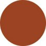 Estee Lauder Melt On Gloss Stick - # 890 MELTED TANGERINE  1.8g