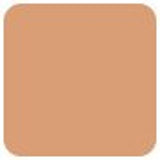 Givenchy Prisme Libre Skin Caring Matte Foundation - # 5-N312  30ml