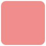 NARS Powder Blush - # Deep Throat  4.8g