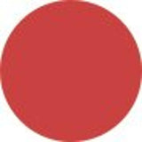 Yves Saint Laurent Loveshine Lip Oil Stick - # 210 Passion Red  3.2g