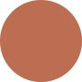 Anastasia Beverly Hills Lip Liner - # Caramel  1.49g