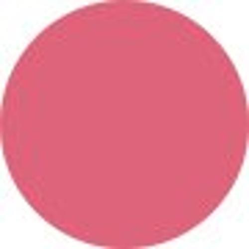 Anastasia Beverly Hills Lip Liner - # Rose Dream  1.49g
