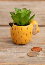 Succulent Critter Yellow Dog