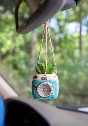 Succulent Critter Hanging Aqua Camera