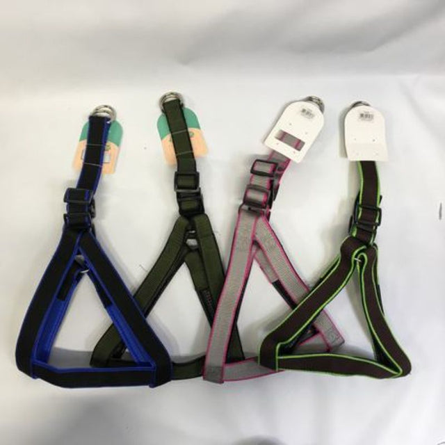 Colorful set of 12 assorted pet collars, each 3cm, designed for stylish and secure pet accessories.