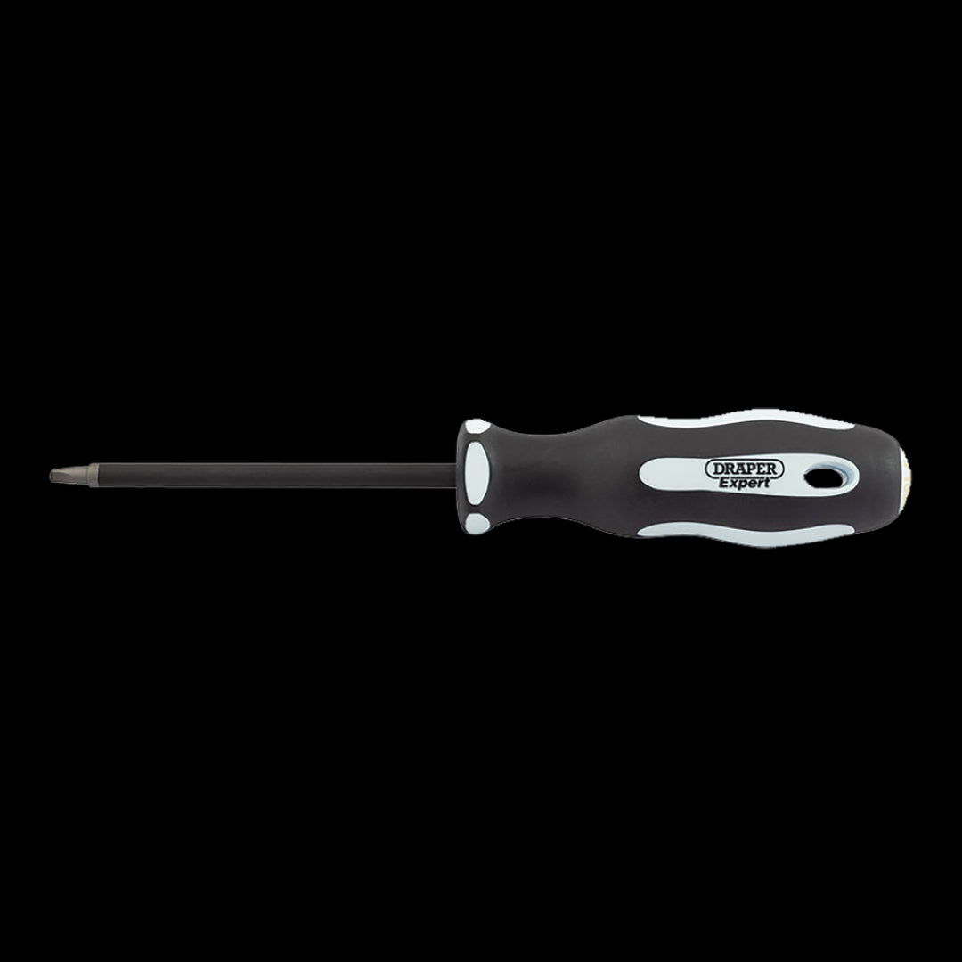 DRAPER Ergo Screwdriver with 100mm SVCM blade, satin chrome finish, soft-grip handle, ideal for precision tasks.