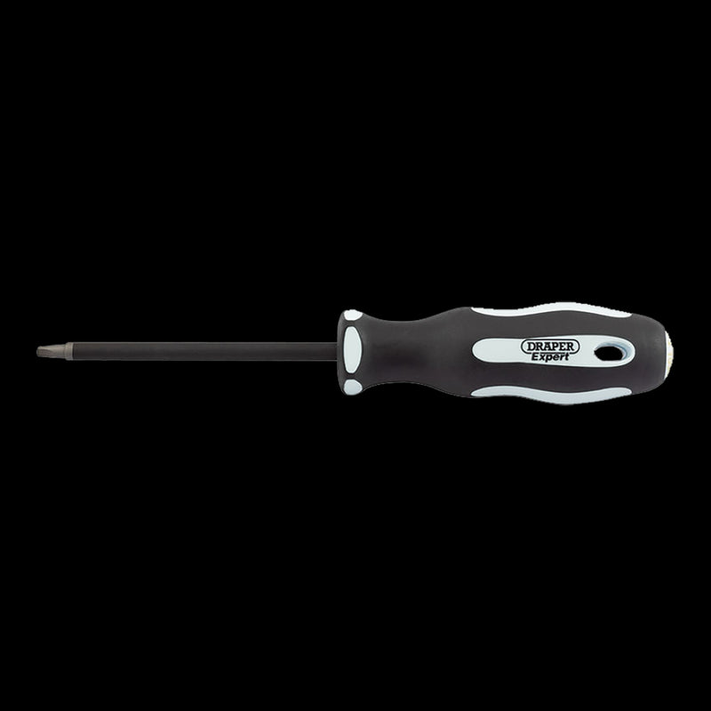 DRAPER Ergo Screwdriver (100mm x SQ2)