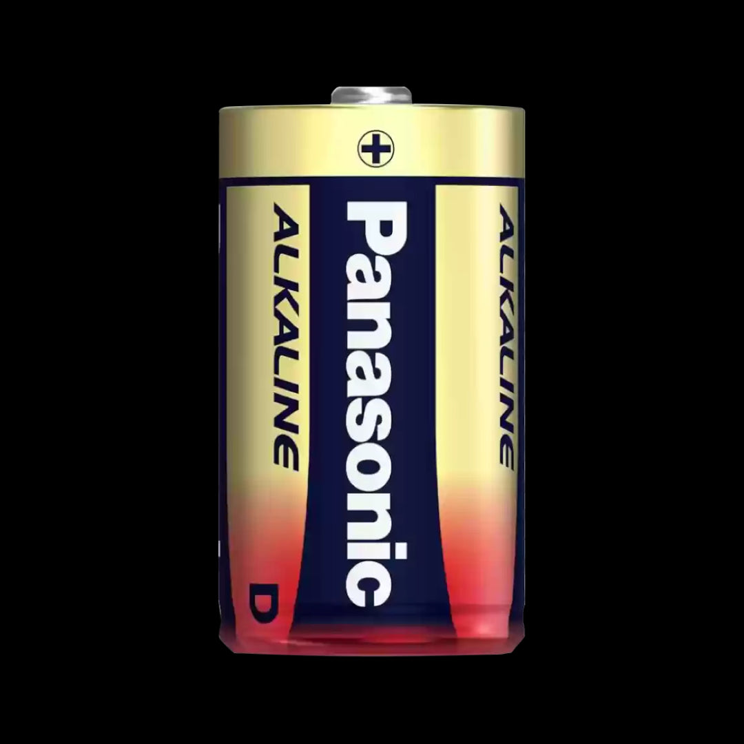 PANASONIC Alkaline Battery D - 2 Pack