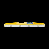 Swanson 250mm Pro-Cast Magnetic Torpedo Level with durable aluminum, rare earth magnets, and high-visibility finish for precision work.