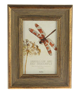 Photo Frame - Hailey MDF Coffee 6"(2 Units)