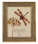 Photo Frame - Hailey MDF Coffee 10"(2 Units)