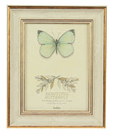 Photo Frame - Hailey MDF Ivory 8"(2 Units)