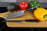 2pc Knife Set - Professional Sabatier