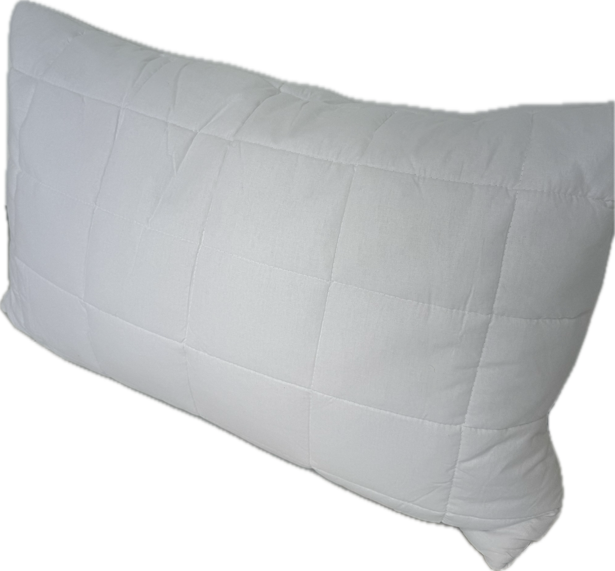 Cotton/Latex Pillow - Top Drawer