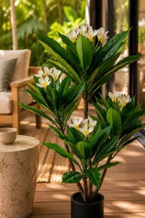 Real Touch Frangipani Artificial Plant in Black Pot