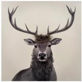 Bad Hair Day Deer Canvas Wall Art 3D Faux Hair 800x800