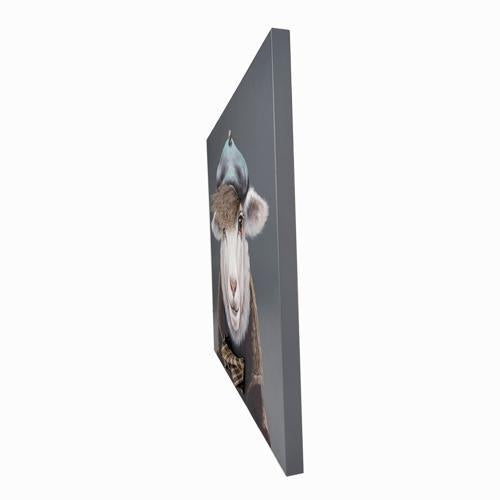 Bad Hair Day Sheep Canvas Wall Art 800x800