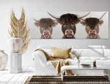 Bad Hair Day 3 Highland Cows Canvas Wall Art 3D Faux Hair 500x1500