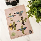 Colorful pop-out folk bird wall art set, crafted from 3mm textured board, perfect for enhancing home decor.