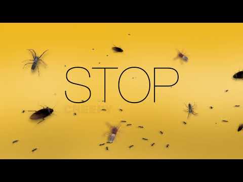 NO Bugs Super  Insect Control Spray RTU - Kiwicare (2L)