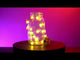 LED String Light - Pineapple (Set of 3)