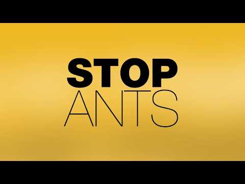 NO Ants Gel Bait Station - Kiwicare (3 Pack)