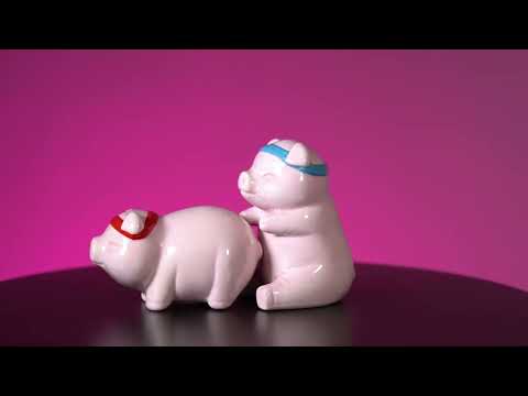 Salt & Pepper Set - Flavour Mates Rude Pigs