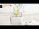 Joseph Joseph - Compo 4 Food Waste Caddy