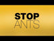 NO Ants Gel Bait - Kiwicare (250g Tube)