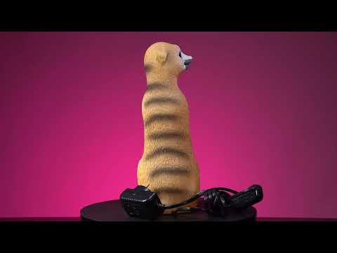 Table Lamp - Meerkat (28cm)