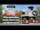 Herbicide - Weed Weapon Long Term (250ml Concentrate)