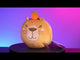 Travel Mask & Pillow - Smoosho's Pals Capybara