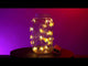 LED String Light - Bee (Set of 3)