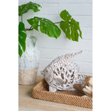 White Coral Look Angelfish ornament, 28x16x25cm, featuring elegant design and coral-like texture for stylish home decor.