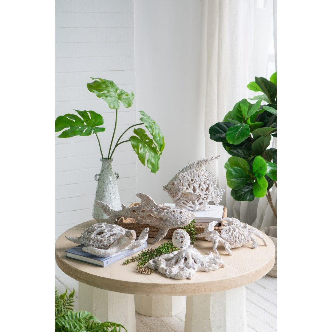 White Coral Look Crab ornament in textured polyresin, perfect for coastal decor, measuring 27.8 x 18.8 x 6.8 cm.