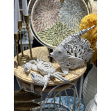 White Coral Look Crab ornament in textured polyresin, enhancing coastal decor with elegance. Size: 27.8 x 18.8 x 6.8 cm.