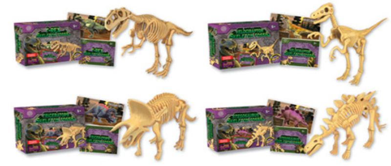 Dinosaur Skeleton Fossil Set (Assorted)