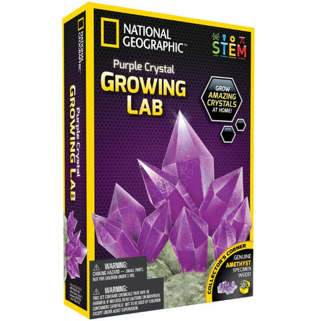 Purple Crystal Lab Kit by National Geographic featuring crystal growing materials and a real amethyst specimen for hands-on learning.