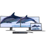 Alogic USB-C 12-in-1 Dual Display Mini Dock - MV2 - 3 Displays Supported - 1920