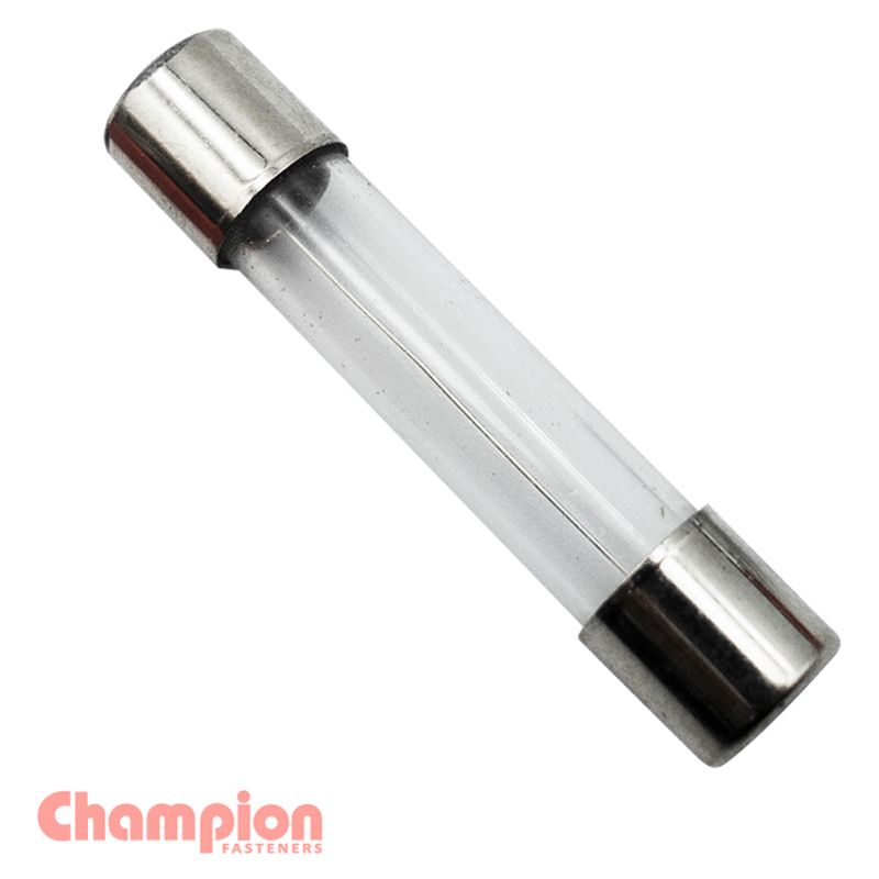 20 AMP GLASS FUSES**