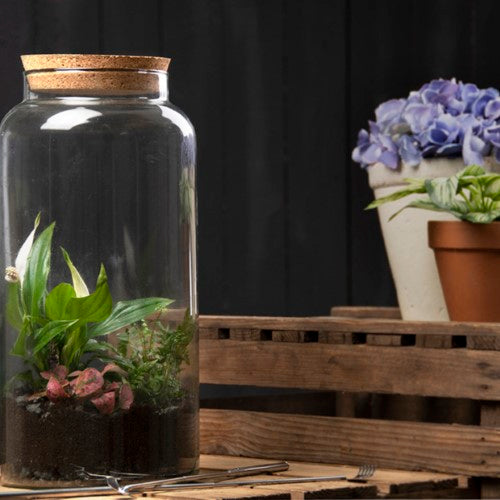 Stylish set of 4 half open terrarium bottles, 10L each, made from recycled glass for versatile indoor and outdoor plant display.