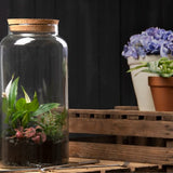 Stylish set of 4 half open terrarium bottles, 10L each, made from recycled glass for versatile indoor and outdoor plant display.