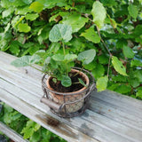 Set of 2 rustic terracotta pots in wire baskets with handles, perfect for indoor plants and stylish home décor.