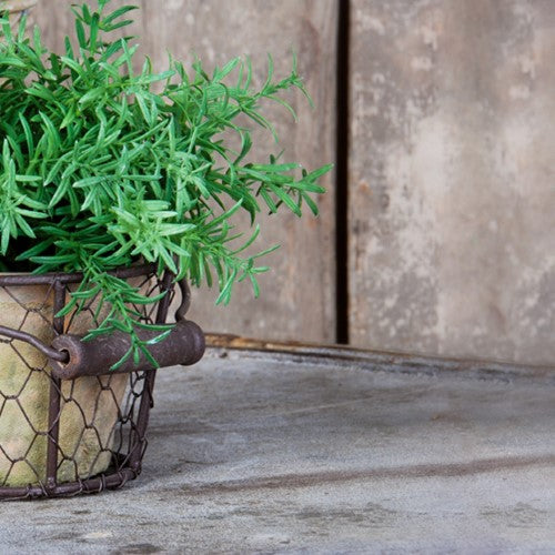 Set of 2 rustic terracotta pots in wire baskets with handles, perfect for indoor and outdoor plant displays.