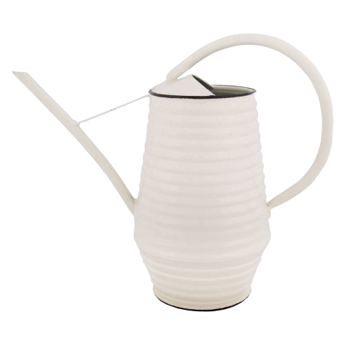 Watering Can - Indoor (Assorted)
