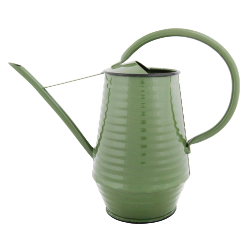 Watering Can - Indoor (Assorted)