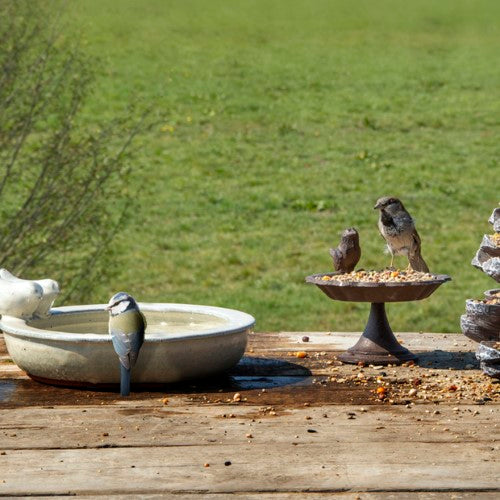 Bird Bath - Ceramic Round Assorted 27 x 27 x 11cm (Set of 3 Asstd)