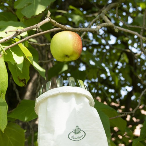 Fruit Picker - Metal/Fabric (18 x 14cm)